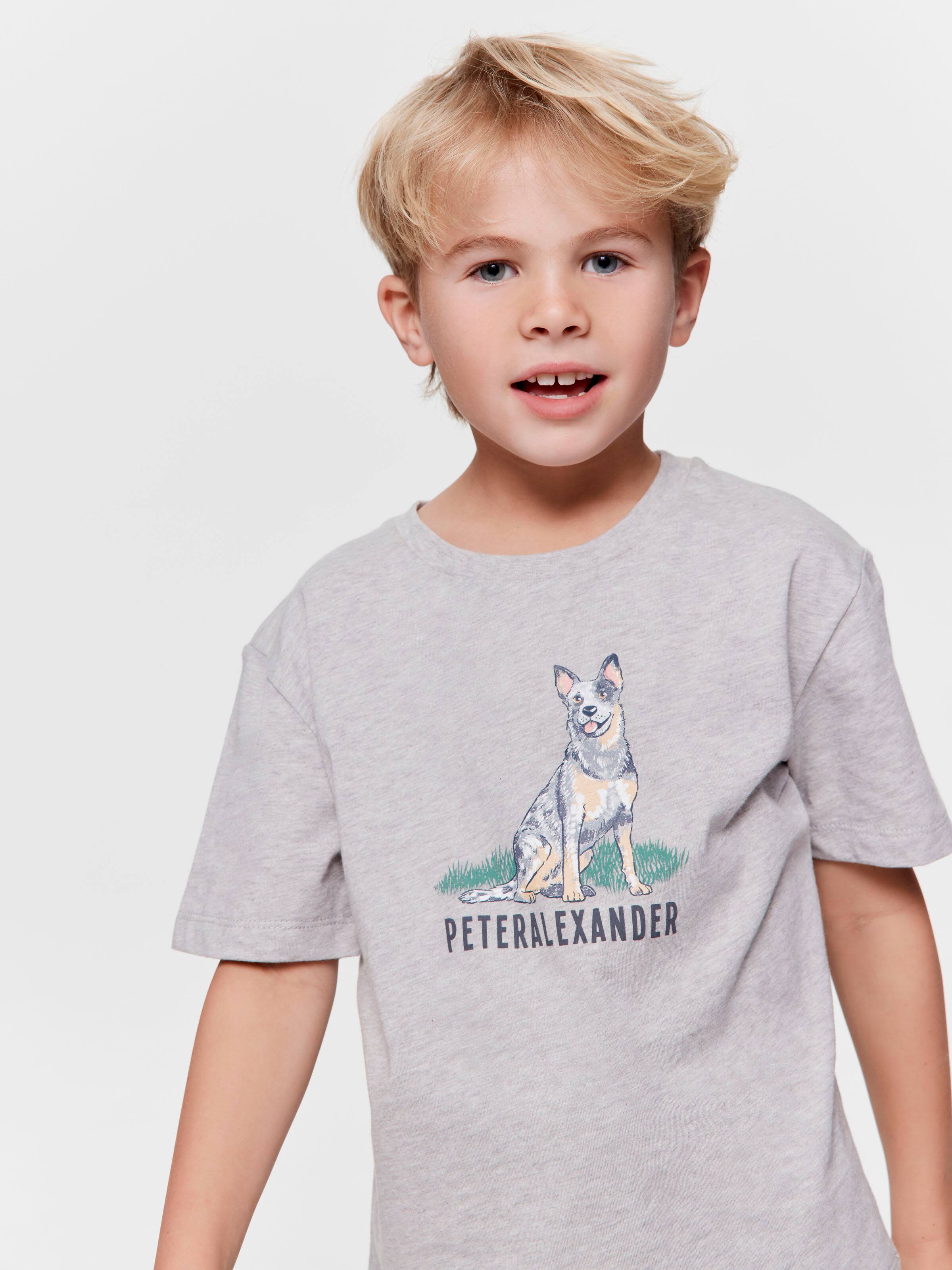 Jnr Boys Blue Heeler 100% Cotton Short Pj Set