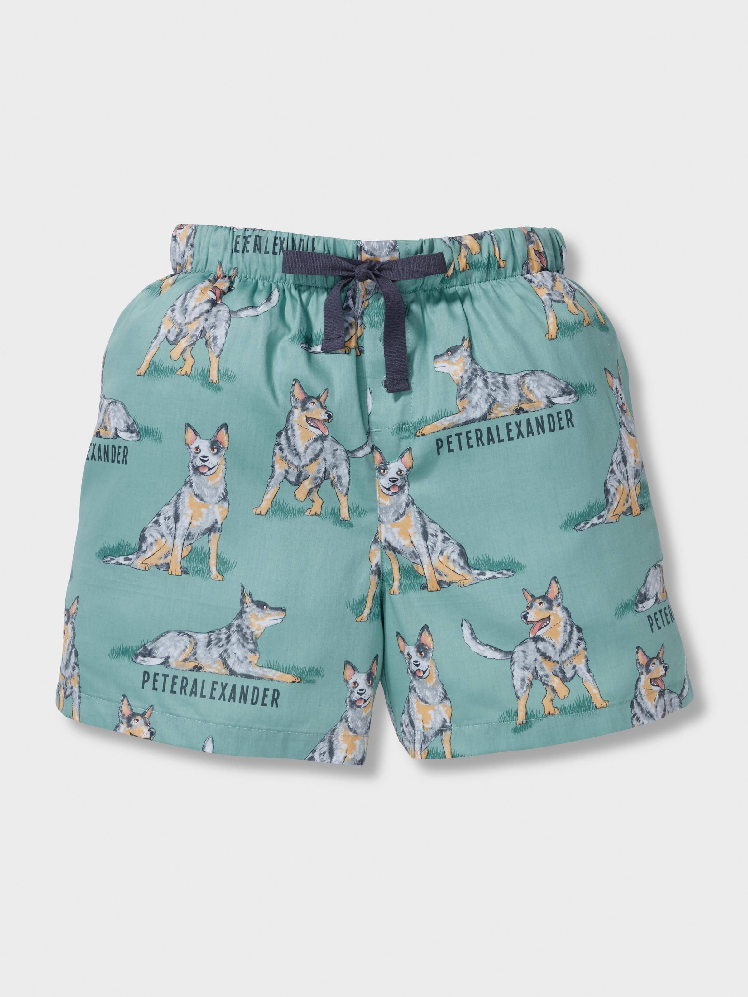 Boys Blue Heeler 100% Cotton Short Pj Set