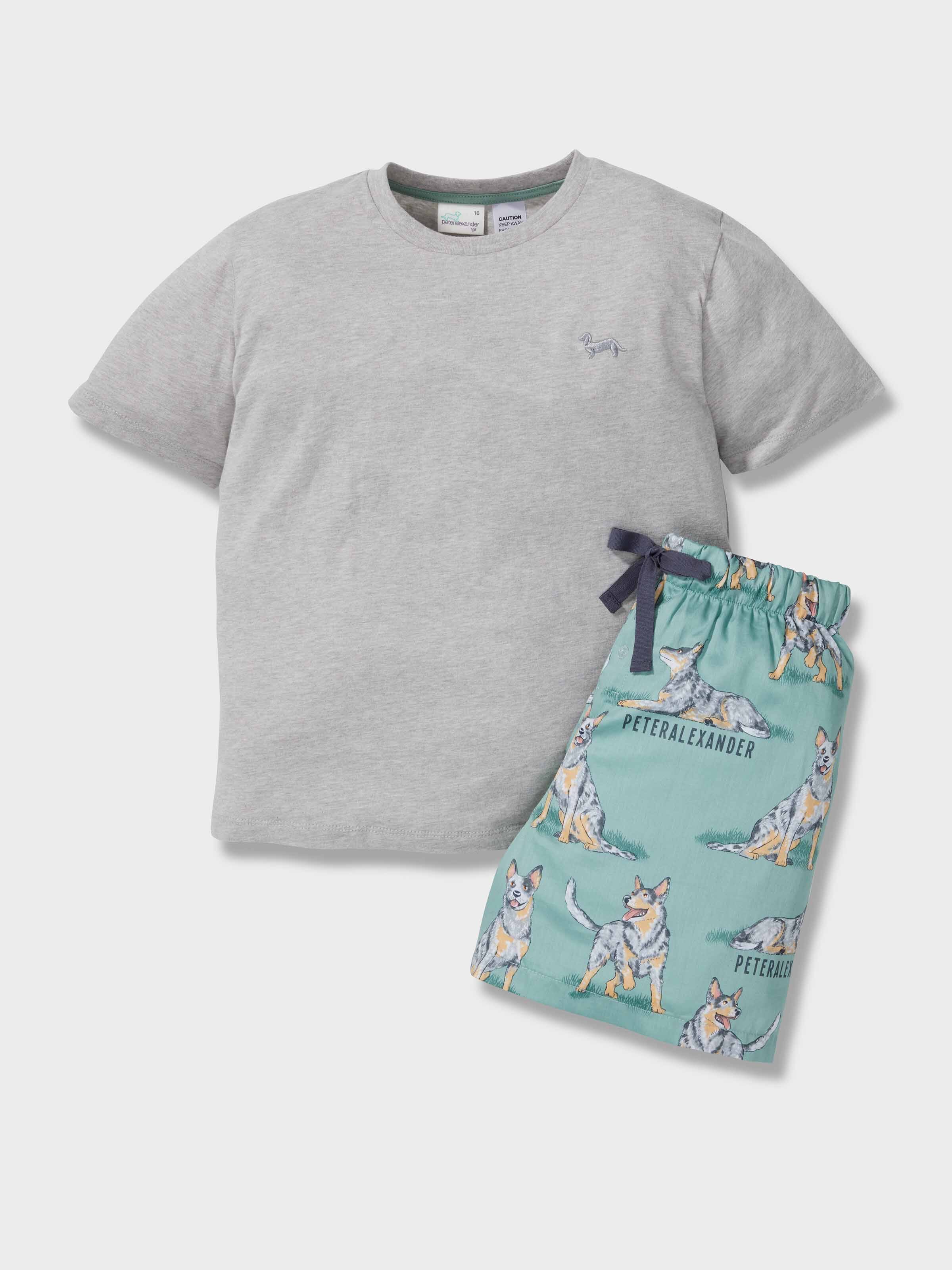 Boys Blue Heeler 100% Cotton Short Pj Set