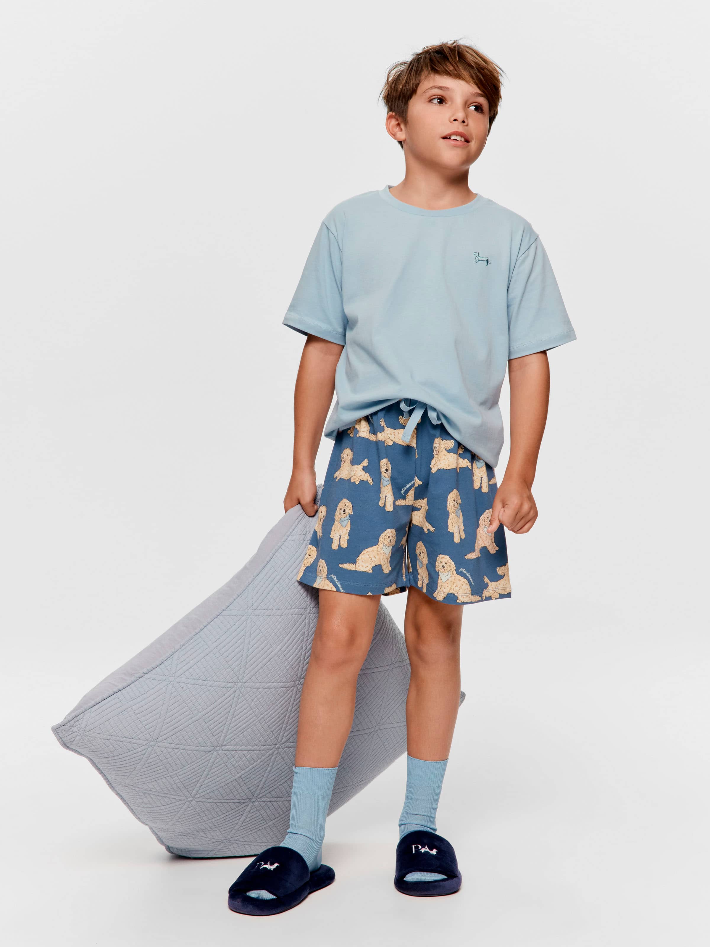 Boys Groodle Short Pj Set