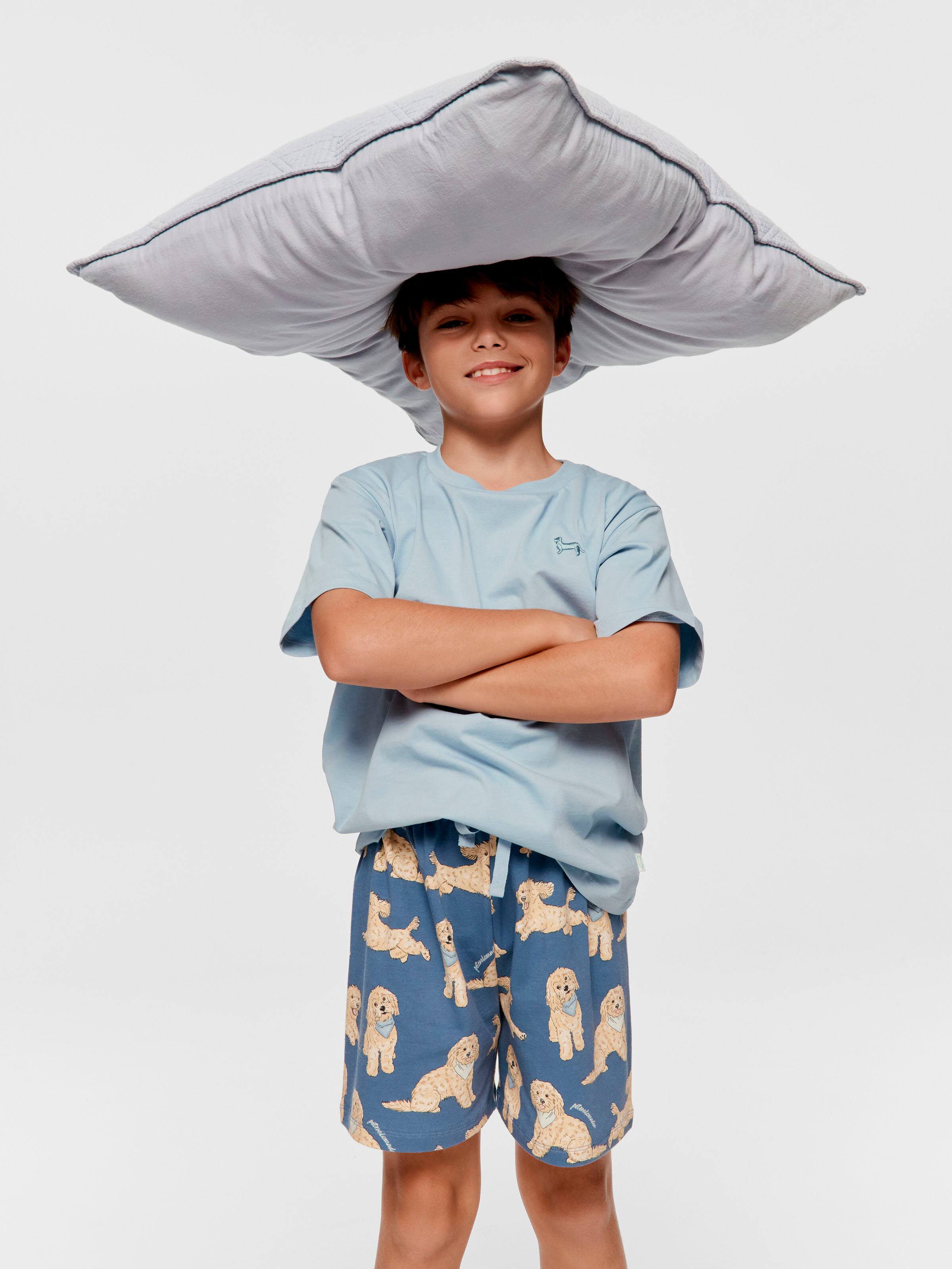 Boys Groodle Short Pj Set
