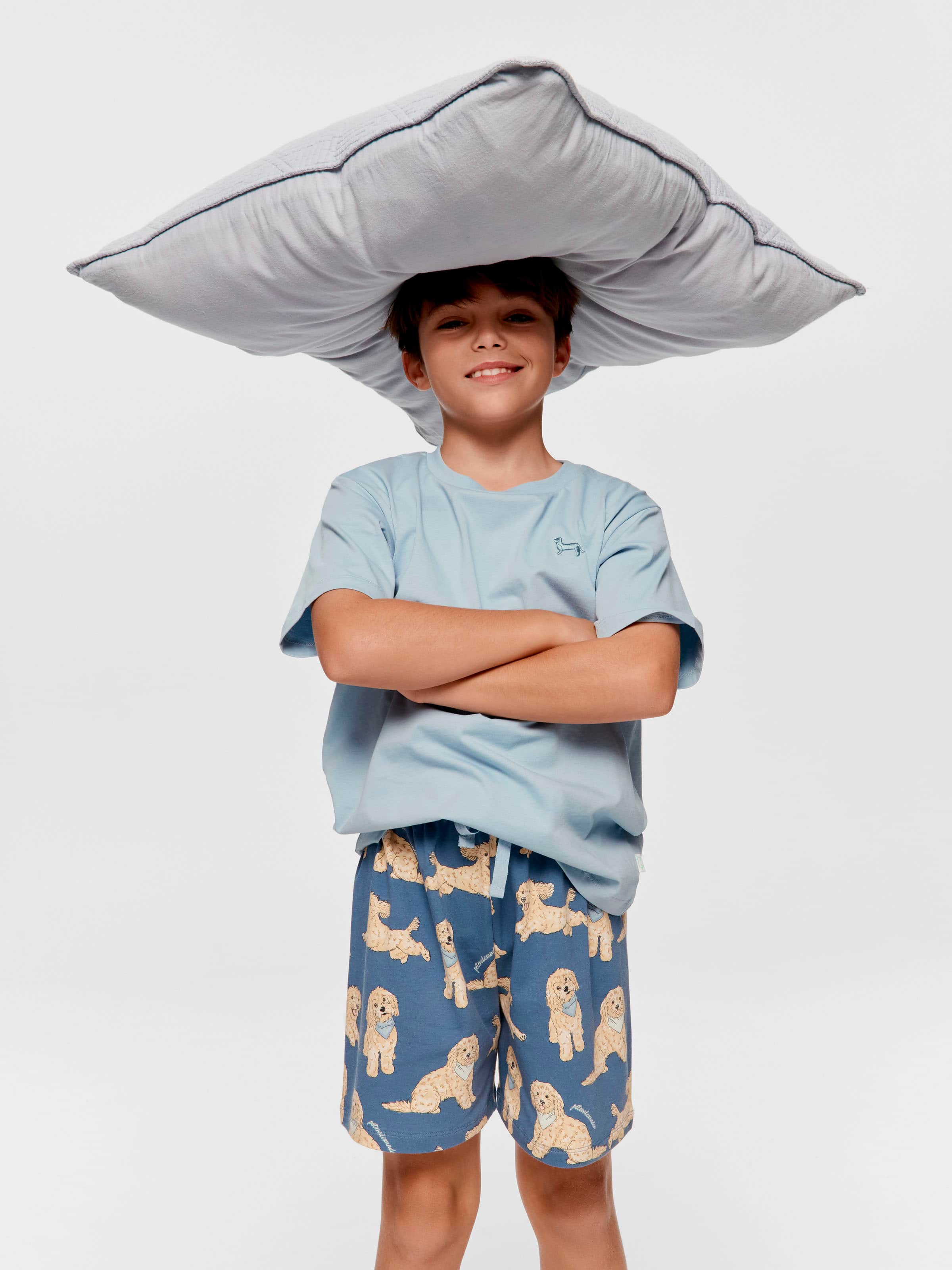 Boys Groodle Short Pj Set