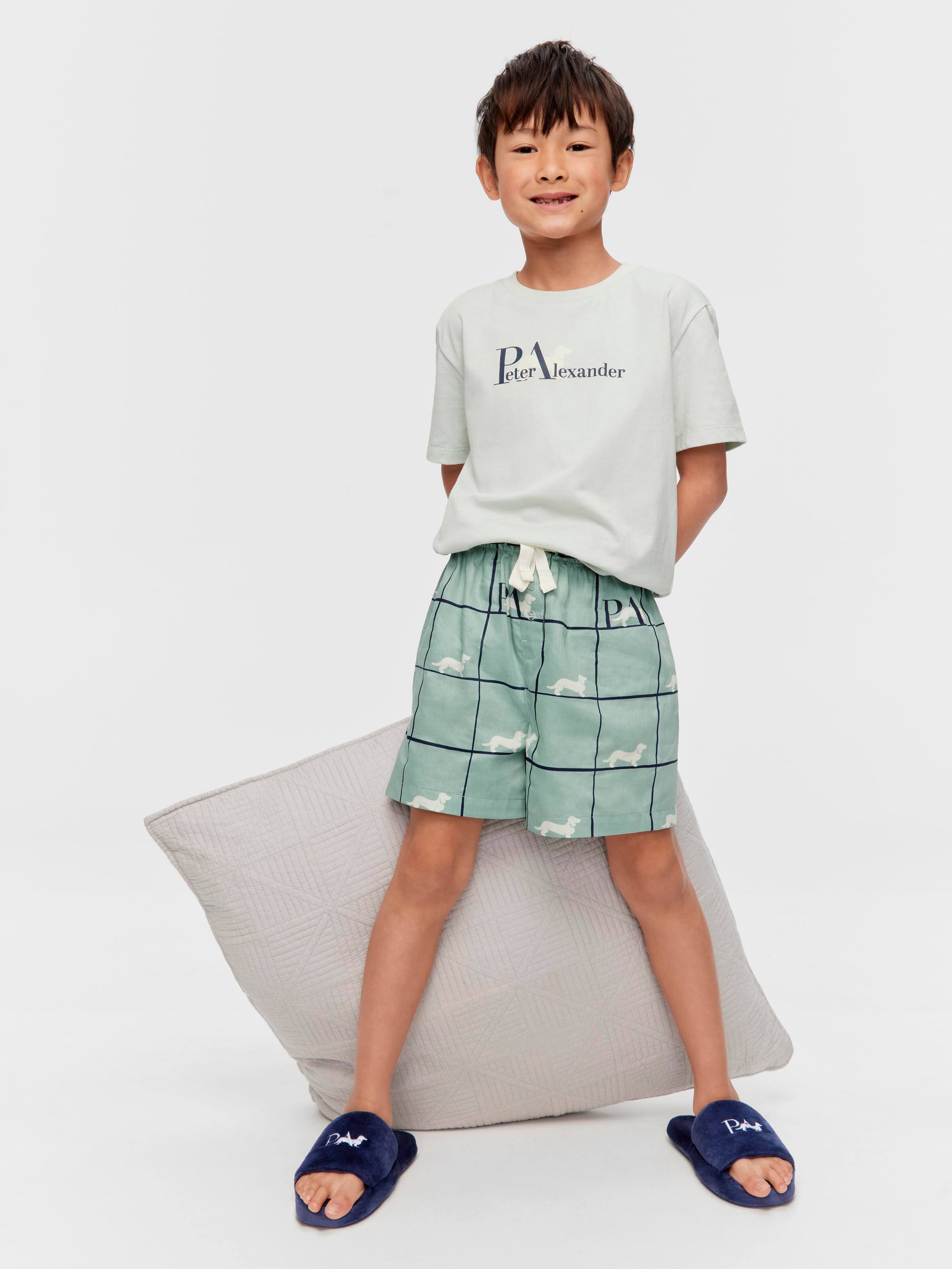 Junior Boys Windowpane Penny Check 100% Cotton Short Pj Set