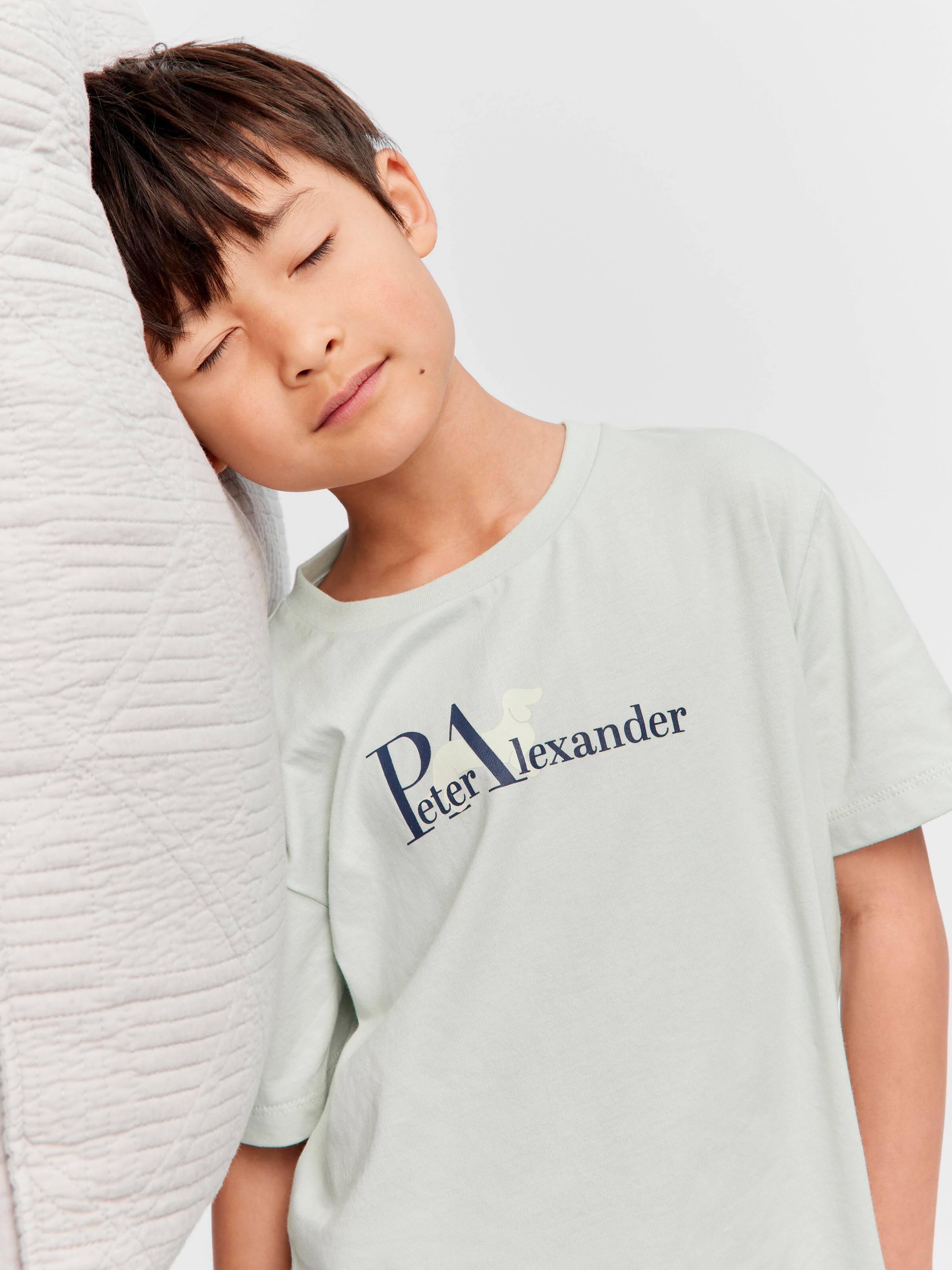 Junior Boys Windowpane Penny Check 100% Cotton Short Pj Set