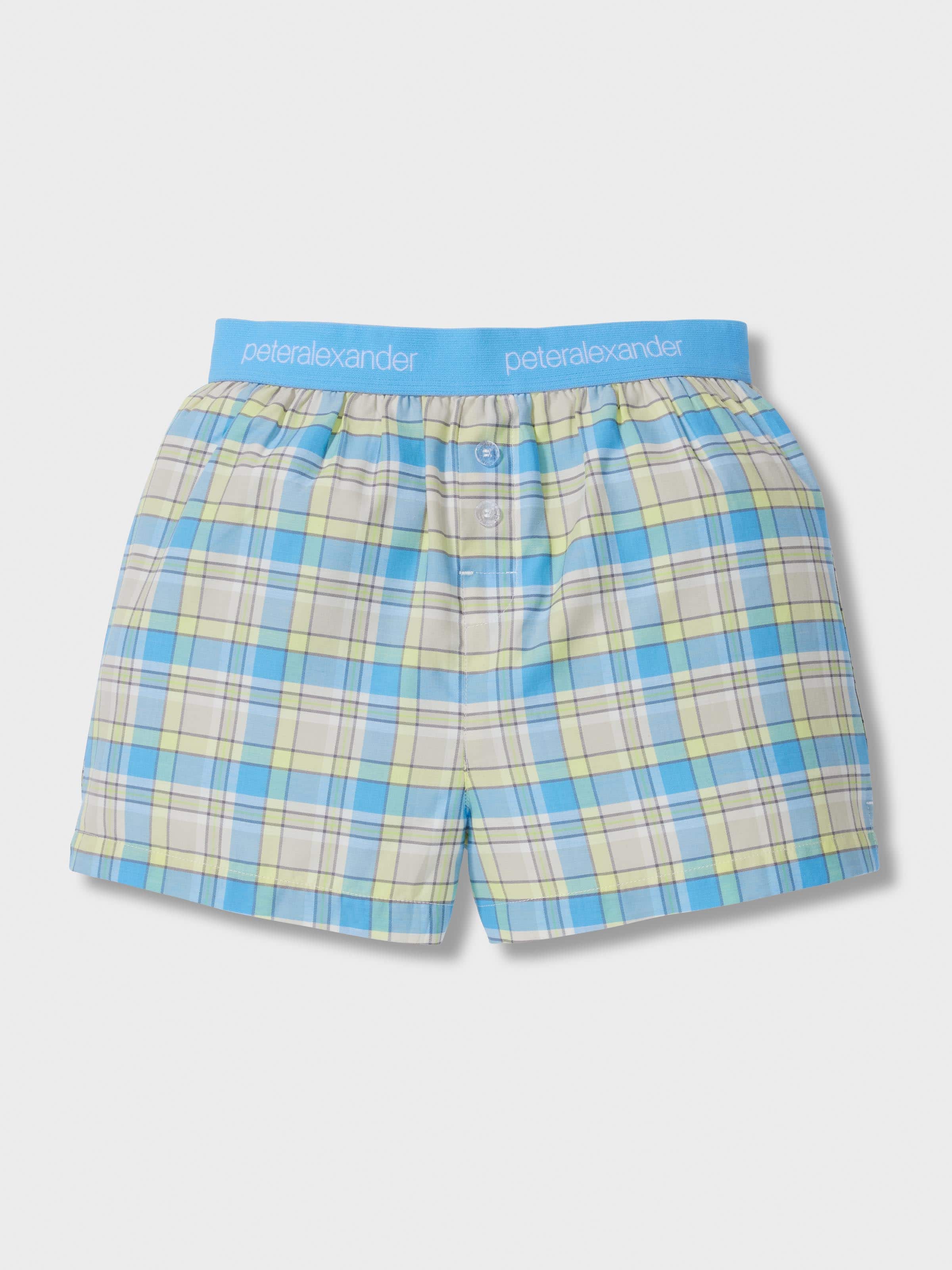 Boys Mint Check Boxer Short