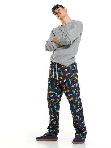 Dinosaur Classic Pj Pant