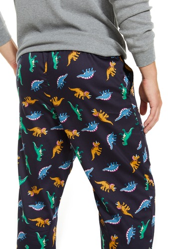 Dinosaur Classic Pj Pant