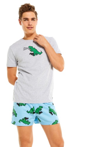 Dino Tee