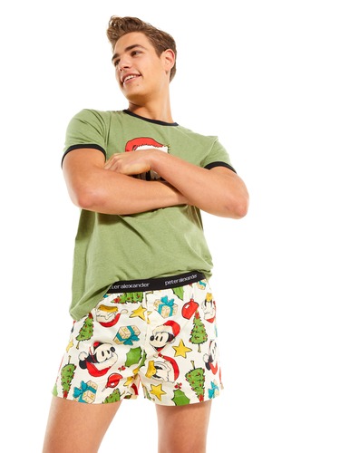 Retro Christmas Donald Duck Boxer