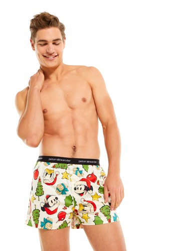 Retro Christmas Donald Duck Boxer