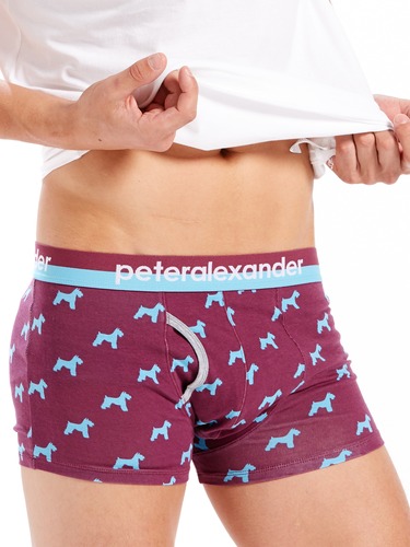 Mens Charlie Dog Trunk