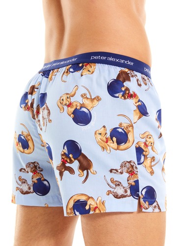 Wonderdog Boxer Short