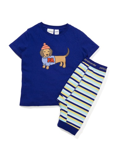 Jnr Boys Penny Stripe Short Sleeve Pj Set