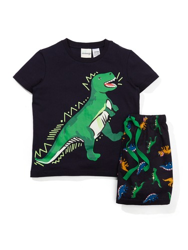Jnr Boys Dinosaur Flannelette Short Pj Set