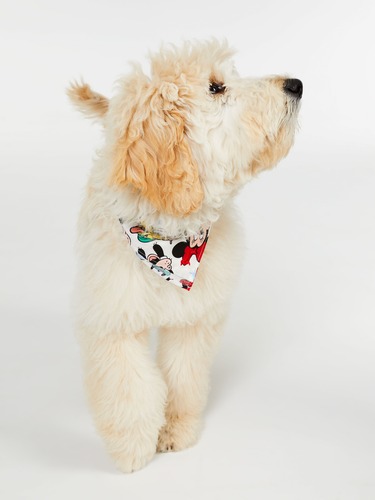 Disney Christmas Mickey Bandana                                                                                                 