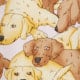 Multi