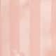 Apricot Stripe